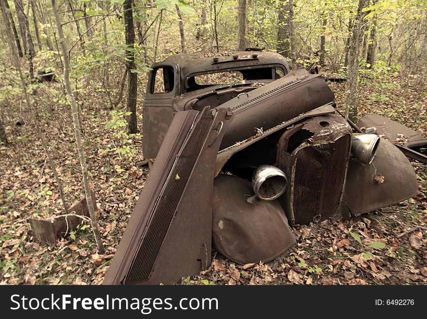 Old Cars In The Forest