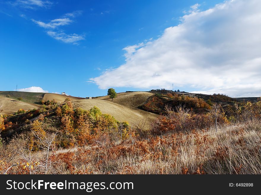 Dry grass and fall colors on hillside in center Italy