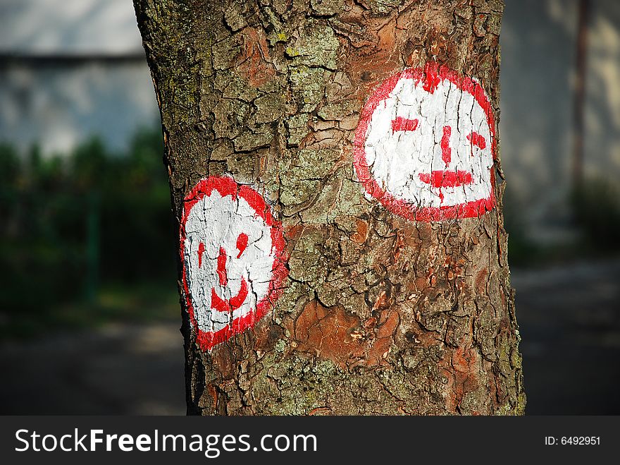 Two smileys painted on the bark of a tree. Two smileys painted on the bark of a tree
