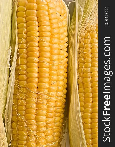 Vegetable series: macro picture of golden corn