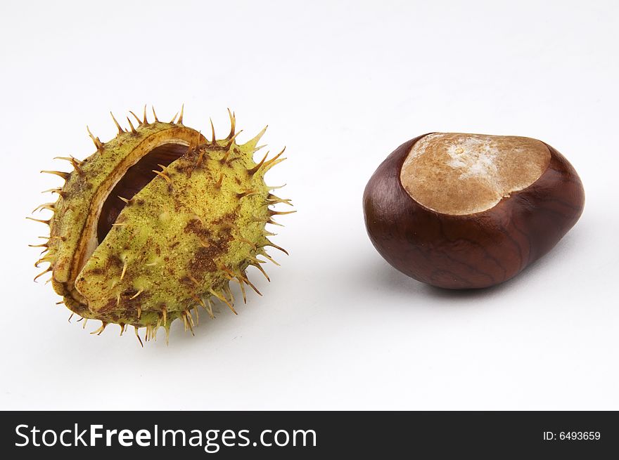 Photo of conkers isolated on white