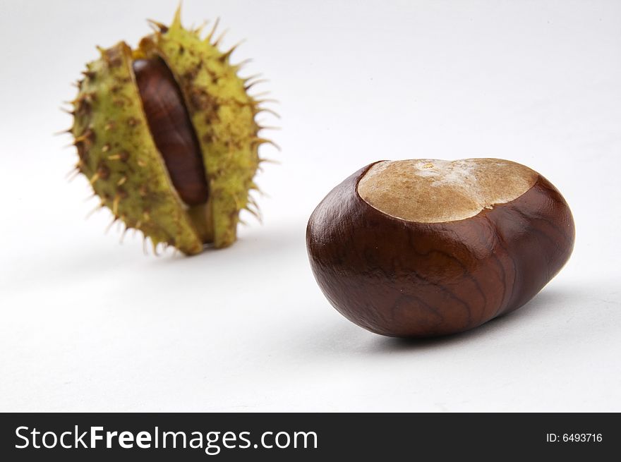 Photo of conkers isolated on white