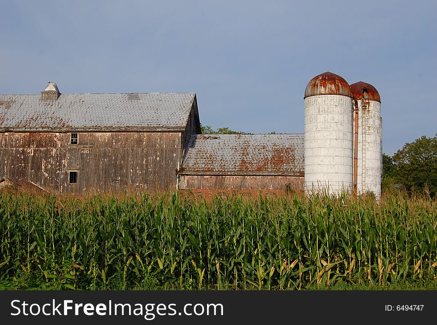 Rustic farm with silos,barn, and corn field . Rustic farm with silos,barn, and corn field