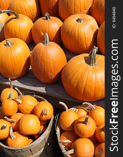 Pumpkins at a roadside farm stand