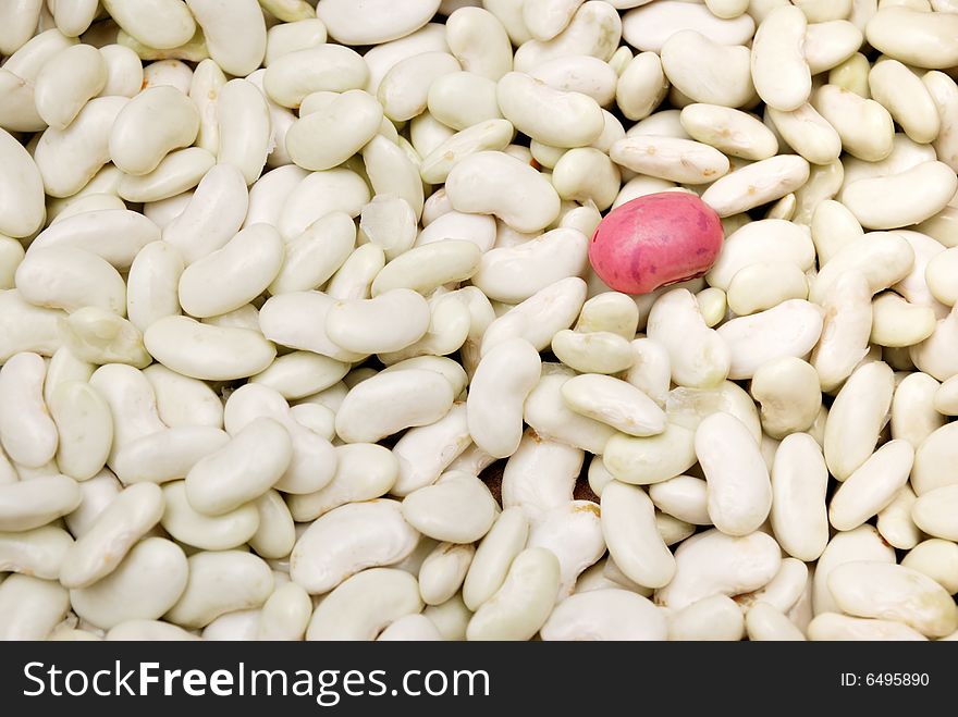 One purple bean among many white beans - concept for standing out. One purple bean among many white beans - concept for standing out