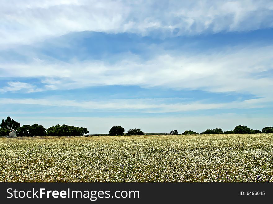 Peaceful landscape in alentejo - portugal in spring