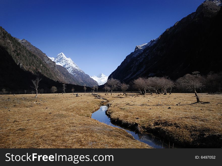 In winter, the plateau in the morning, the sun in the grassland.Photographs the place is the Chinese Sichuan province Xiaojin County's Mt. Siguniang mountain. In winter, the plateau in the morning, the sun in the grassland.Photographs the place is the Chinese Sichuan province Xiaojin County's Mt. Siguniang mountain