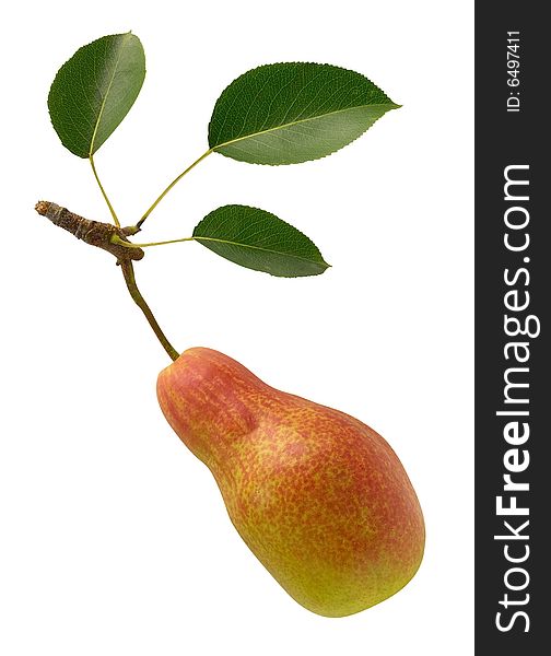 Single pear isolated over white. Clipping path. Single pear isolated over white. Clipping path.