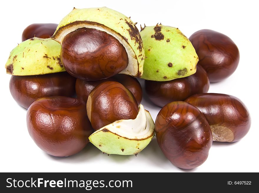 Many brown chestnuts over white background