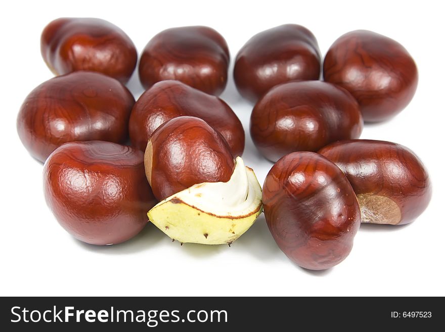 Many brown chestnuts over white background