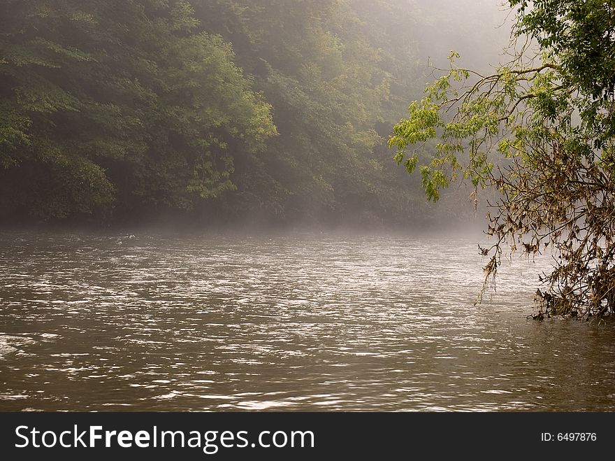 Forest river on fogged morning
