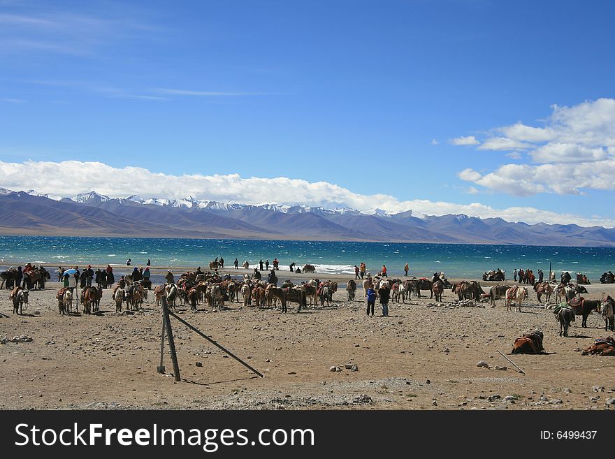 Tibet is one of the Nam Co Lake on the plateau of Pearl, surrounded by snow-capped mountains around, as in Wonderland. Tibet is one of the Nam Co Lake on the plateau of Pearl, surrounded by snow-capped mountains around, as in Wonderland