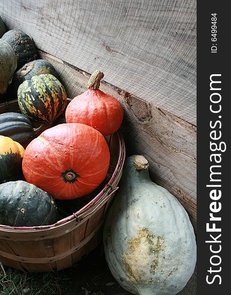 At a farmers market, a variety of squash for sale. At a farmers market, a variety of squash for sale