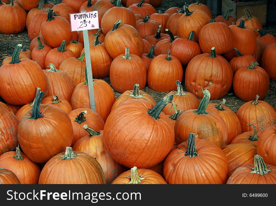 Colorful orange pumpkins for sale at a local farmers' market in Autumn