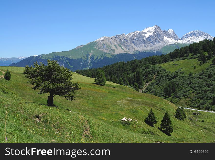 Lovely panorama in the alps in switzerland. Lovely panorama in the alps in switzerland