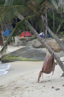 Relaxing At The Beach. Hammock Stock Images Relaxing At The Beach. Hammock Stock Images