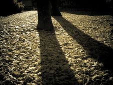 Long Shadows Stock Photography Long Shadows Stock Photography