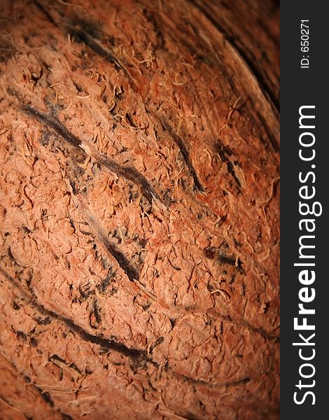 Coconut Shell Texture