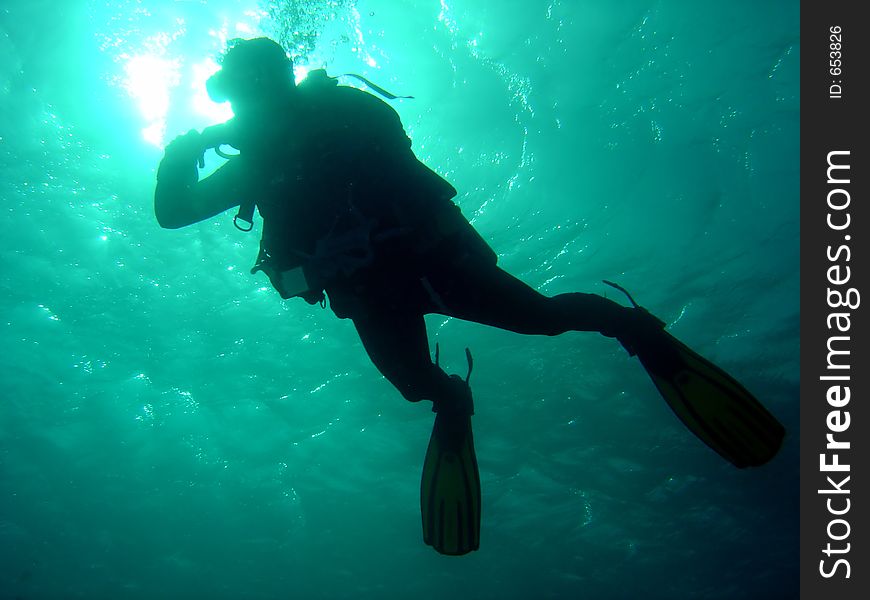 Diver Dropping Down