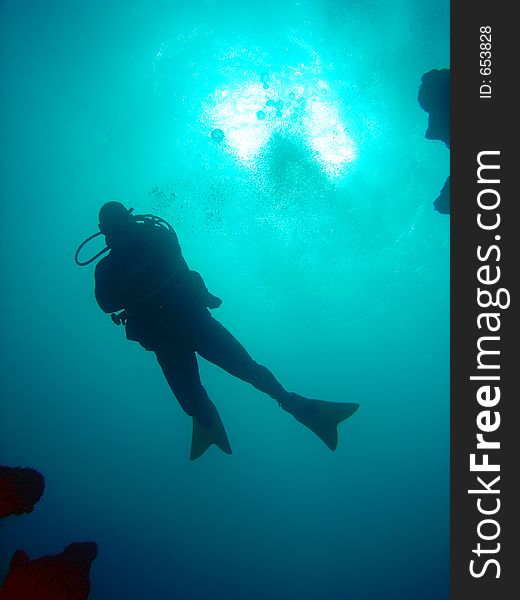Scuba diver with coral reef