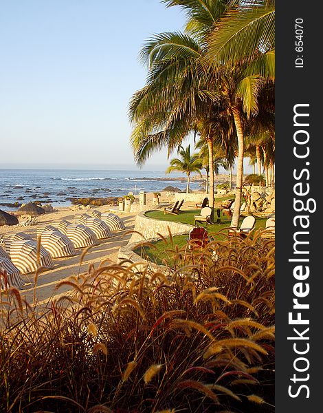 Beach in los cabos, mexico