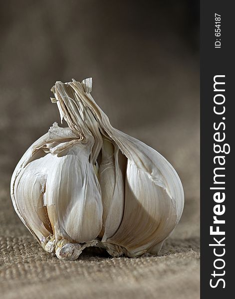 White garlic bulb