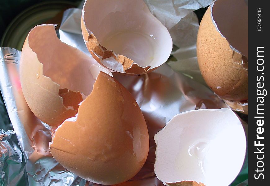 Eggs of a bird