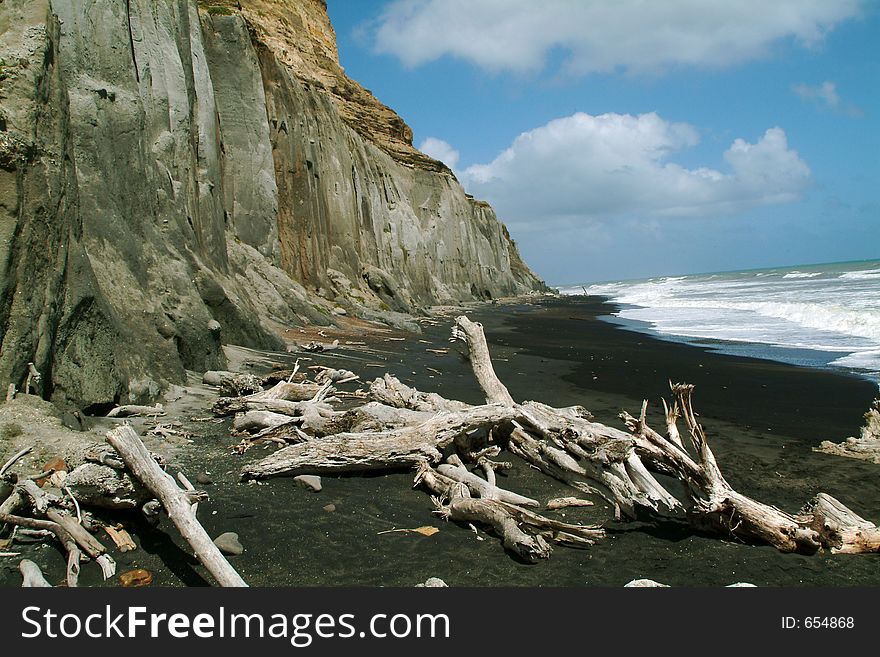 Driftwood on volcanic beach. Driftwood on volcanic beach