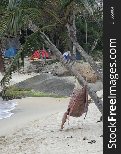 Relaxing at the beach. Hammock