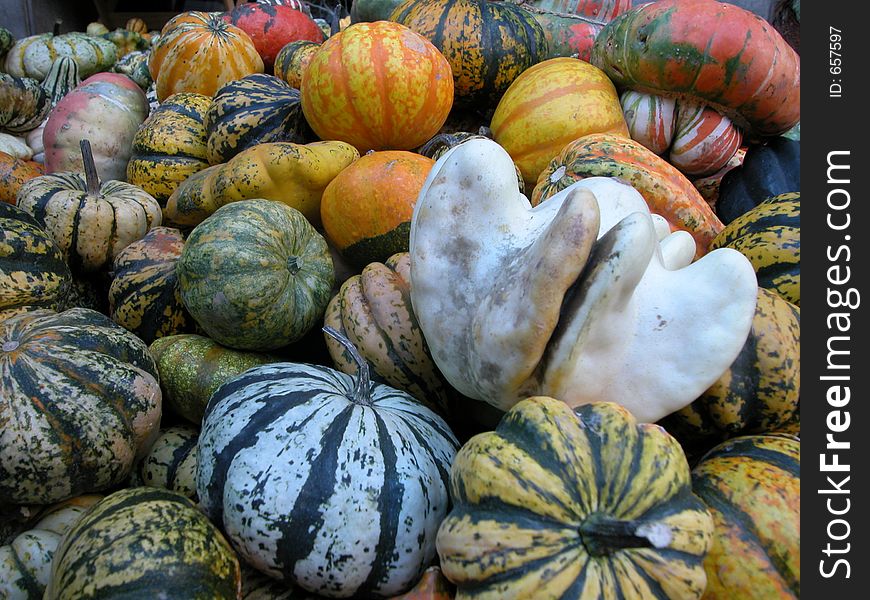 Several very vivid pumpkins on a flower fair in Belgrade,