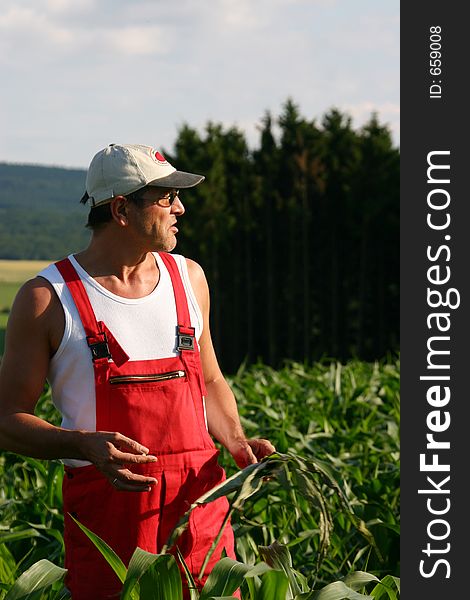 Farmer Inspecting The Barley