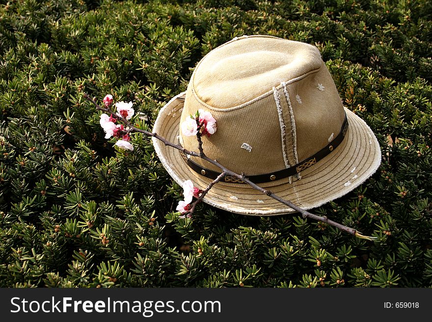 Hat with spring flowers