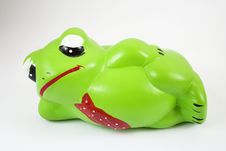 Lazy Frog Royalty Free Stock Photos
