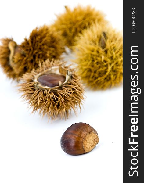 Edible, ripe chestnuts - isolated on white background.