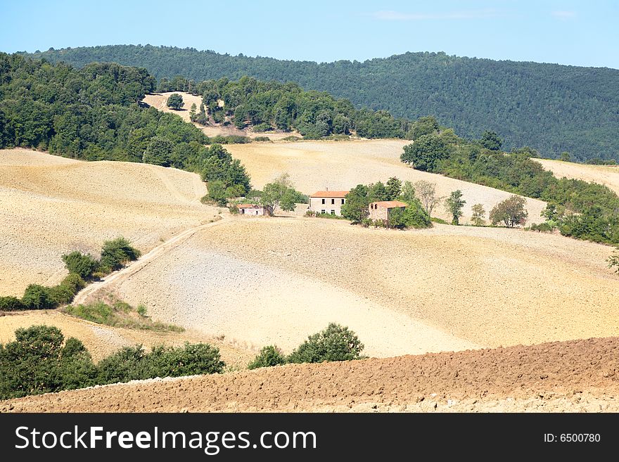 Tuscan Landscape