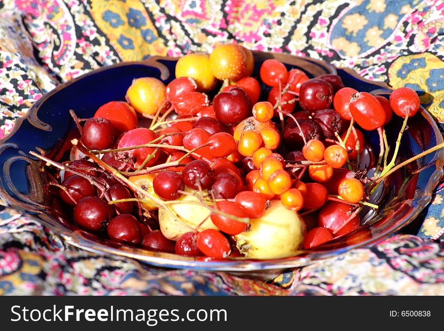 Wild berries and fruits in an ancient plate. Wild berries and fruits in an ancient plate
