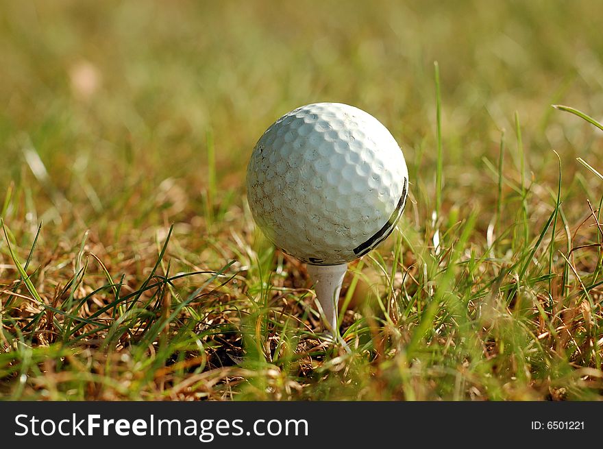 Photo of the golf ball in the green grass. Photo of the golf ball in the green grass