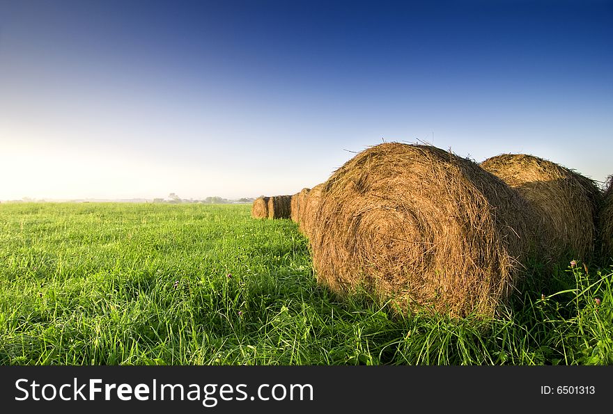 A green field with some straw rolls