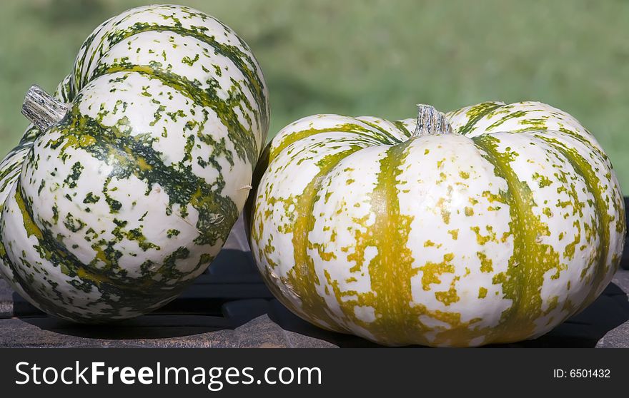 A pair of colorful pumpkins. A pair of colorful pumpkins.