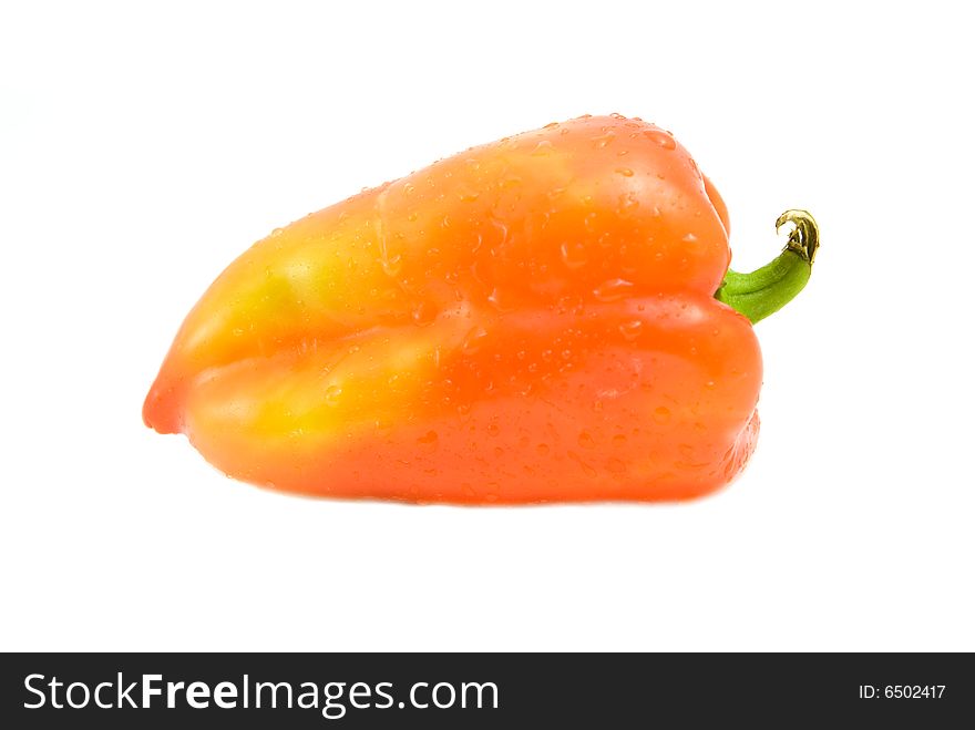One pepper isolated on white