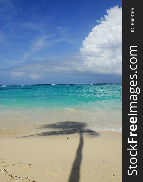 Pristine tropical beach with palm trees shadows on Caribbean island. Colors are natural. Bavaro Beach, Punta Cana