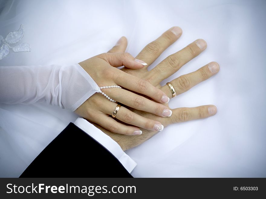 Holding hands of bride and groom. Holding hands of bride and groom