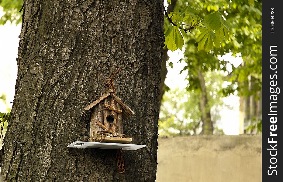 This image represent a house of birds on a big tree in a garden in Bucharest. This image represent a house of birds on a big tree in a garden in Bucharest