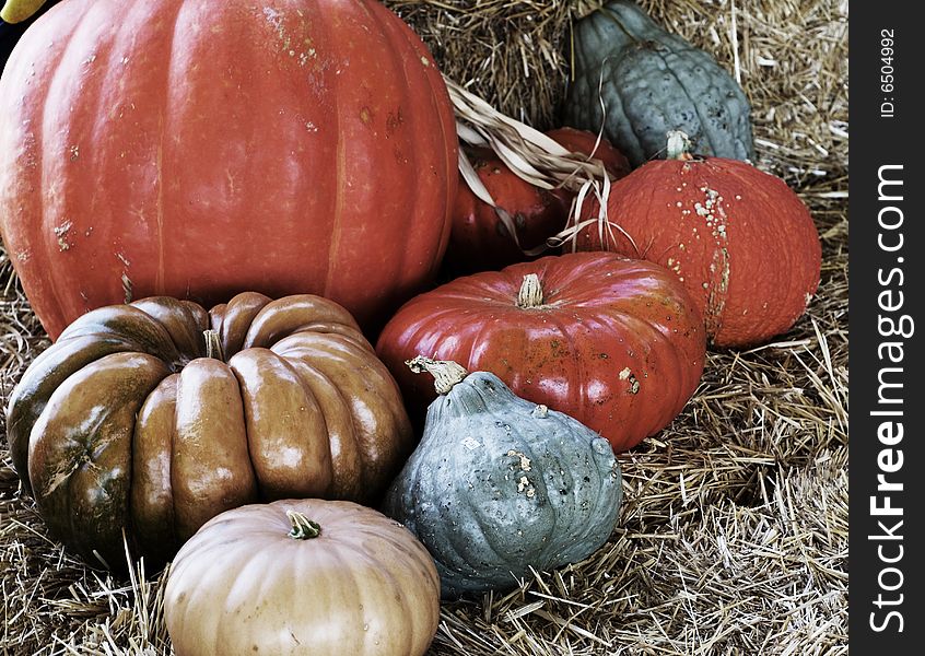 Eight different colored pumpkins lying on hay bales. Eight different colored pumpkins lying on hay bales