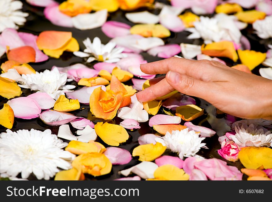 Woman touching flower petals