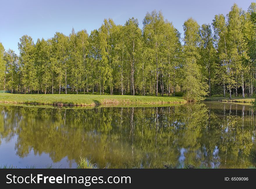 Landscape with birch forest near lake under blue sky