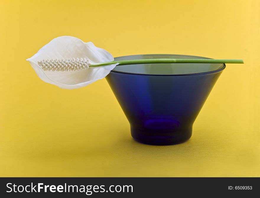 Glass bowl isolated on yellow background