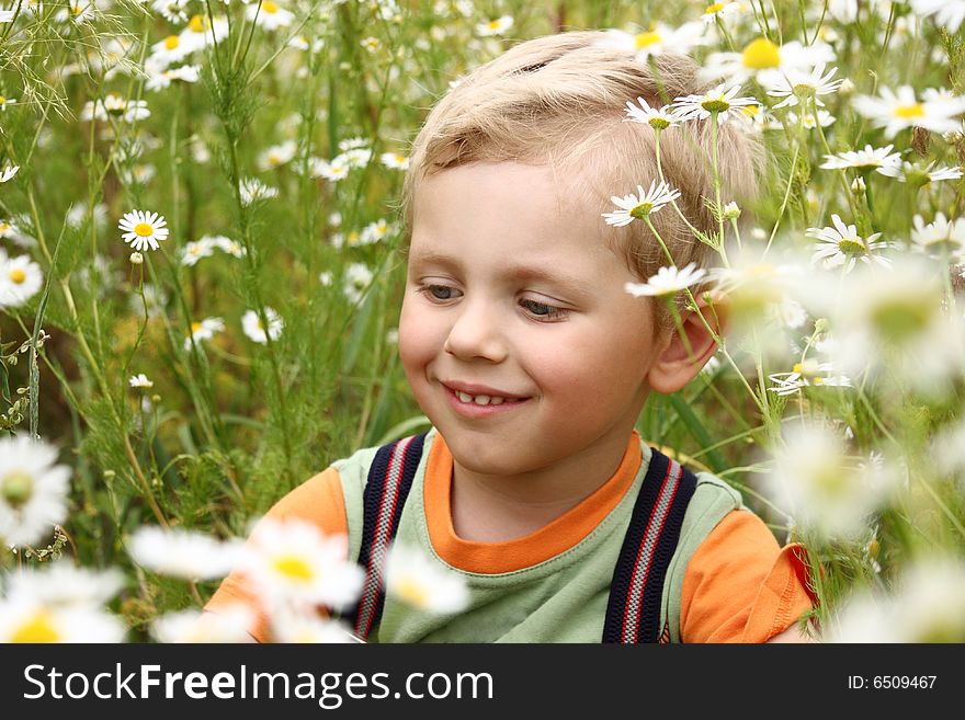 3 years old boy smiling on a daisy field. 3 years old boy smiling on a daisy field