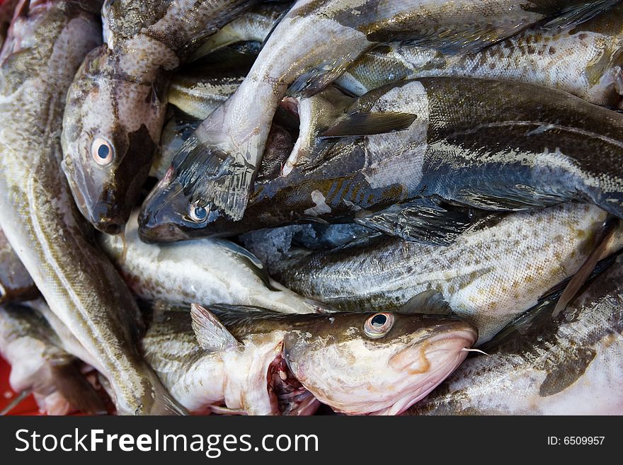 Sea fishes prepared to sell. Sea fishes prepared to sell