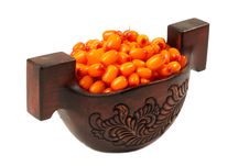 Sea-buckthorn Berries Royalty Free Stock Photos Sea-buckthorn Berries Royalty Free Stock Photos